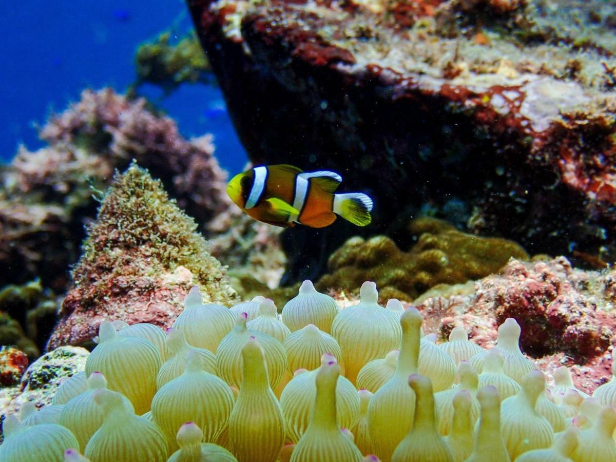 Iroukan Minamiizu Dış mekan fotoğraf